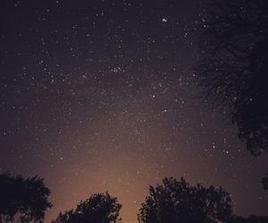 Listopadowa burza meteorów. Kiedy Leonidy osiągną maksimum?