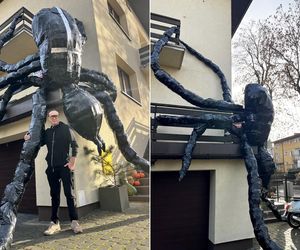 Niezwykła ozdoba na Halloween. Pająk z tysiąca butelek straszy w Lublinie