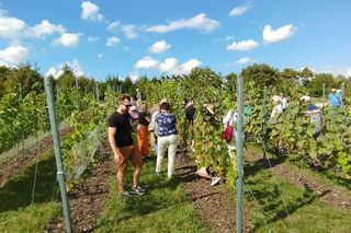 Ogród Botaniczny w Kielcach zaczyna sezon. Już zaprasza na majówkę. Tam jest przepięknie! Będą kwietne zabawy, bieg, kiermasz oraz inne atrakcje