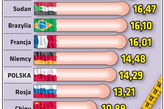 Infografika Średnia długość penisa