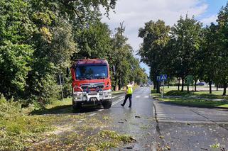 Straszna wichura przeszła przez Dolny Śląsk. Wciąż wieje!