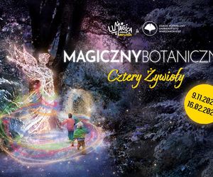 MagicznyBotaniczny tylko do 16 lutego. Ostatnie dni wystawy pełne atrakcji!