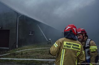 Pożar zakładu meblarskiego w Sadowie