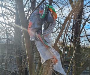 Kolejne dzikie wysypisko śmieci we Wrocławiu. I to tuż przy rzece! Zawiadomiono prokuraturę 