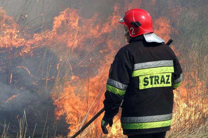 Strażacy podkreślają, że pierwszy raz spotkali się z tak wielkim pożarem.