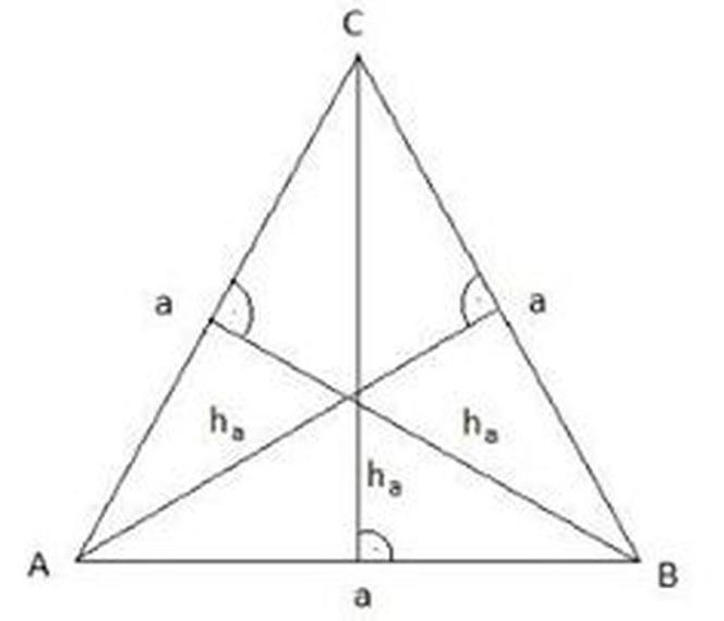 wysokość trójkąta równobocznego 