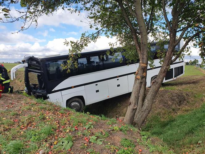 Autobus wypadł z drogi! Fatalny wypadek w Wytrębowicach [ZDJĘCIA]