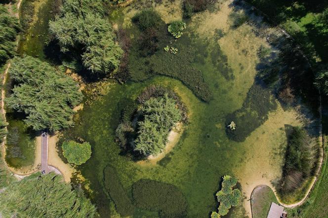 Park Lotników Polskich  w Krakowie