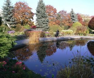 Najpiękniejszy ogród botaniczny w Polsce znów otwarty dla gości. Przygotuj się na widoki jak z bajki 