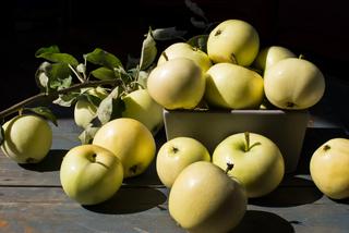 Papierówki w syropie z wanilią - idealne jabłka w słoikach