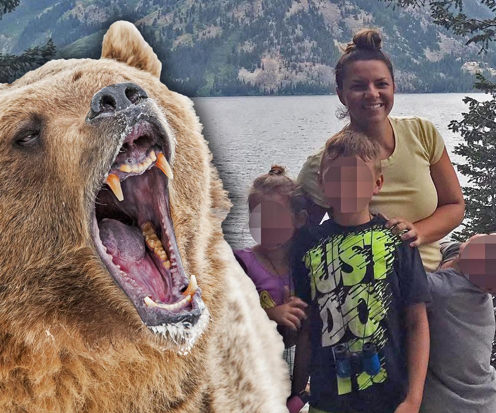 Niedźwiedź rzucił się na pielęgniarkę! Poważne obrażenia twarzy