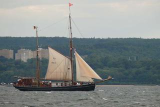 ParadaZagleGdyni2014_FotMZwierz_710068
