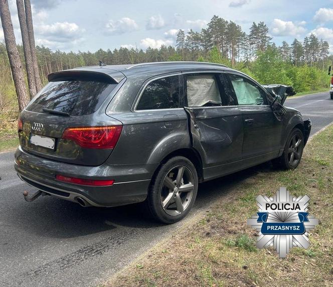 Kierowca audi potrącił łosia. Pechowe zderzenie zakończyło się śmiercią