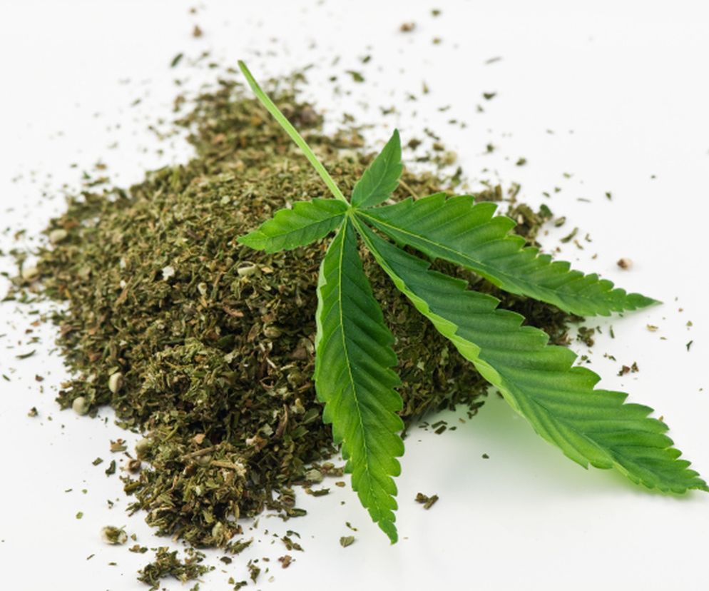 Marihuana wpływa na płodność. Czy palenie marihuany obniża męską płodność?