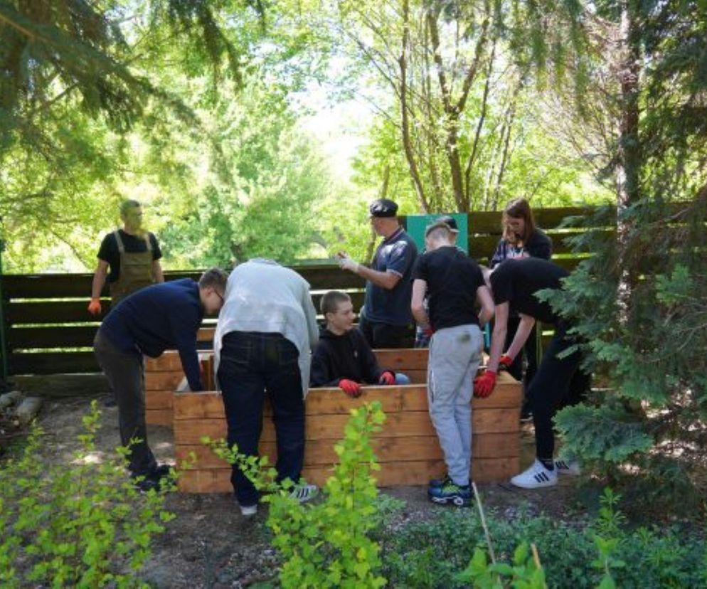 Lublin - rośnie Projekt Park przy hospicjum, czyli Artystyczny Ogród Społeczny