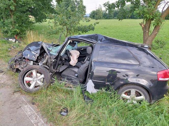 Rodzinna tragedia pod Krakowem. Matka z małym dzieckiem potrącona przez auto. 40-latka nie żyje