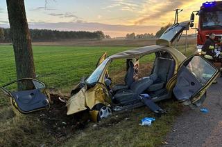 Chciała uniknąć zderzenia ze zwierzęciem. Z poważnymi obrażeniami trafiła do szpitala