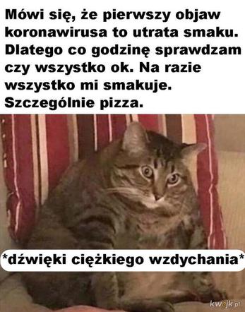 Memy o koronawirusie