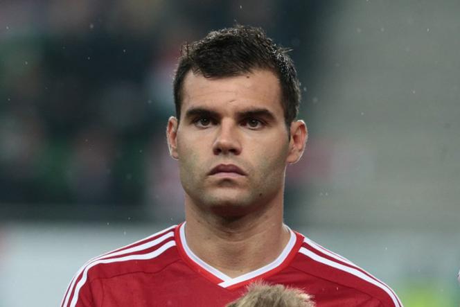 Nemanja Nikolić, reprezentacja Węgier, Euro 2016