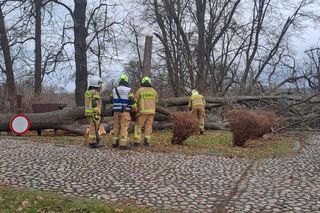 Potężne wichury przechodzą przez Małopolskę. Strażacy interweniowali ponad 120 razy