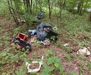 Zgroza w lesie pod Świeciem! Martwy pies w worku foliowym ze związanymi łapami. Policja szuka sprawcy bestialskiego czynu