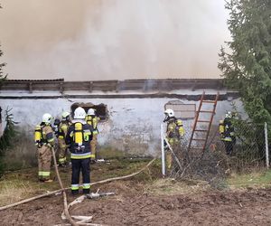 Pożar w miejscowości Pełkinie