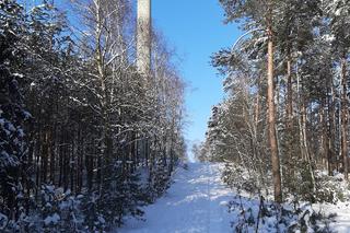 Wieża obserwacyjna w Mycinie