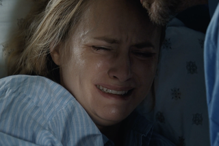 M jak miłość, odc. 1695: Julia (Marta Chodorowska), Andrzej Budzyński (Krystian Wieczorek)