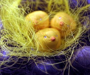 wielkanoc oszczędzanie