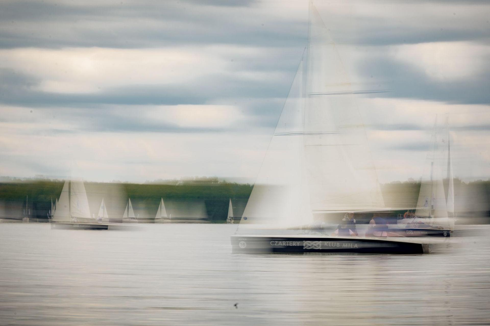 Regaty architektów 2024