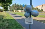 Komu lemoniadę na ochłodę? Sympatyczna akcja dzieci w Lesznie