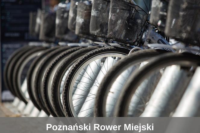 Poznański Rower Miejski zdobył ponad 16 tys. nowych użytkowników! 