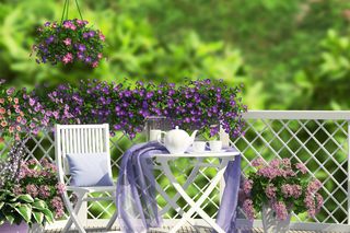 Ogród w stylu prowansalskim. Harmonia natury i elegancji 