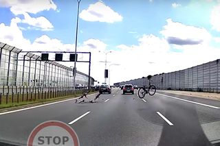 Oszukać przeznaczenie na dolnośląskiej drodze. Nagle z dachu spadły rowery 