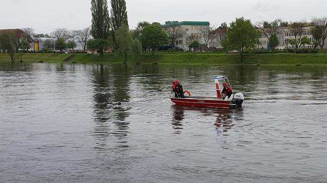 Pan Leszek sam nie mógł wyplątać się ze sznurka.