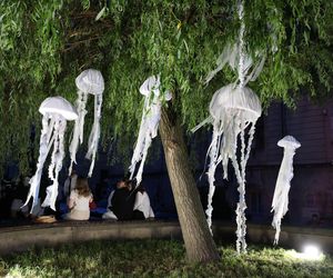 Tak było podczas lubelskiej Nocy Kultury 2025