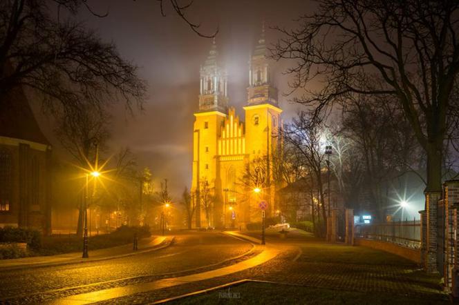 Katedra w wieczornej mgle.