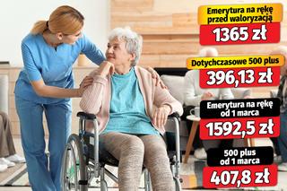 500 plus dla seniorów