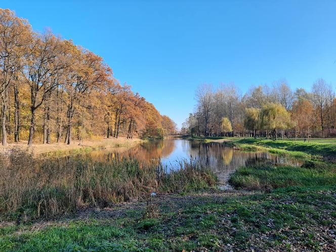 Park Miejski w Toruniu