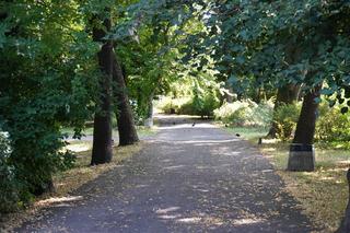 Czas na zmiany w Parku Bronowickim. Tak się prezentuje przed planowaną „metamorfozą”. ZDJĘCIA