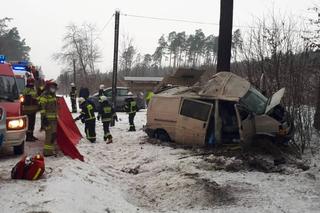 Śmiertelny wypadek w Lidzbarku. Bus uderzył w drzewo. Jedna osoba nie żyje, trzy w szpitalu [ZDJĘCIA]