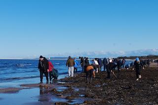 Poszukiwacze bursztynu na świnoujskiej plaży