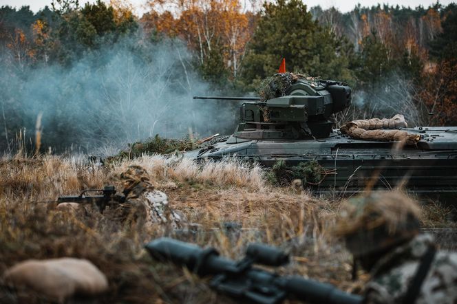 Marder 