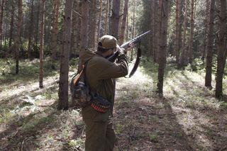 Horror na polowaniu! Myśliwy strzelał do zwierząt, człowiekowi amputowali nogę