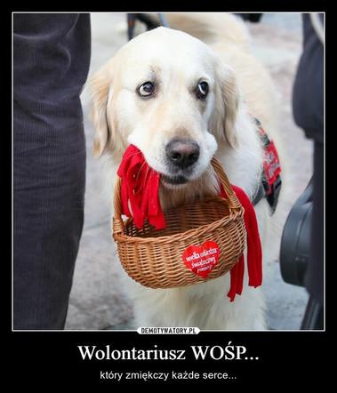 Najlepsze memy o WOŚP. Tak akcję Jurka Owsiaka widzą internauci! 