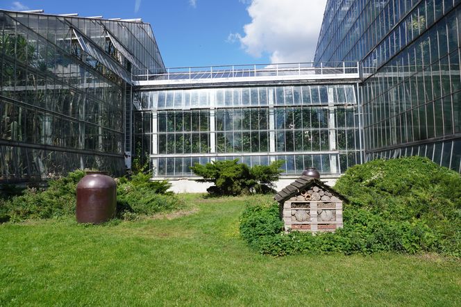 Palmiarnia Poznańska przed przebudową