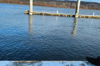 Niesamowite odkrycie we Włocławku. Ten skarb ma ponad 1000 lat