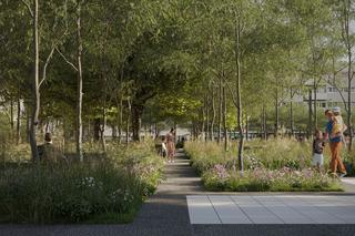 Plac Nowy Targ we Wrocławiu