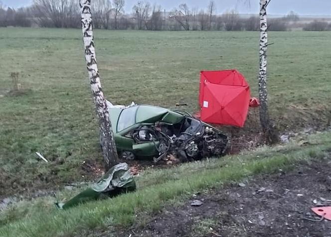 Horodnianka. Tragiczny wypadek na DK 8. NIE ŻYJE kierowca opla [ZDJĘCIA]