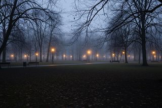 Zakaz fajerwerków w Krakowie. Czy przyszły Sylwester będzie cichy?